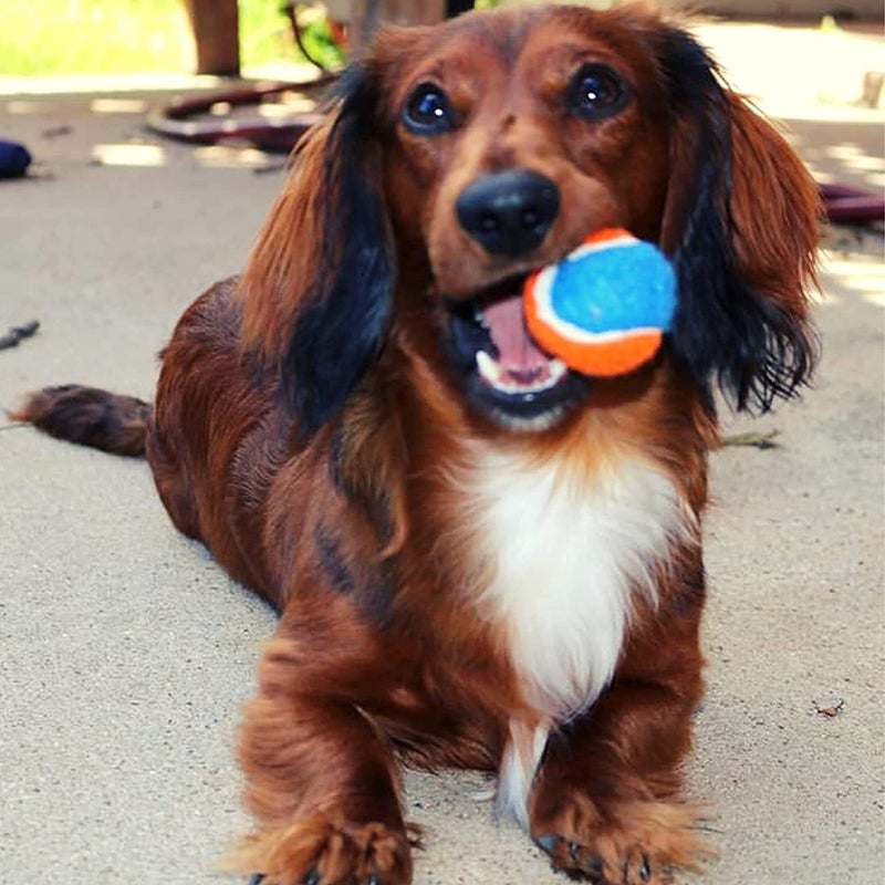 Midlee Squeaky Mini Tennis Ball for Dogs 1.5"- Pack of 12 (Orange/Blue) - Image 5